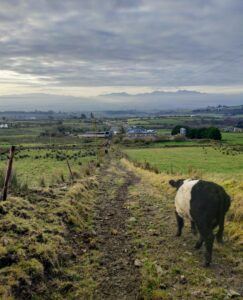 Farming accident articles