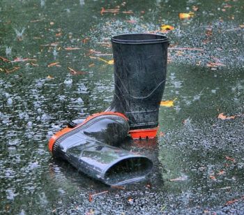 where to get cheap wellies